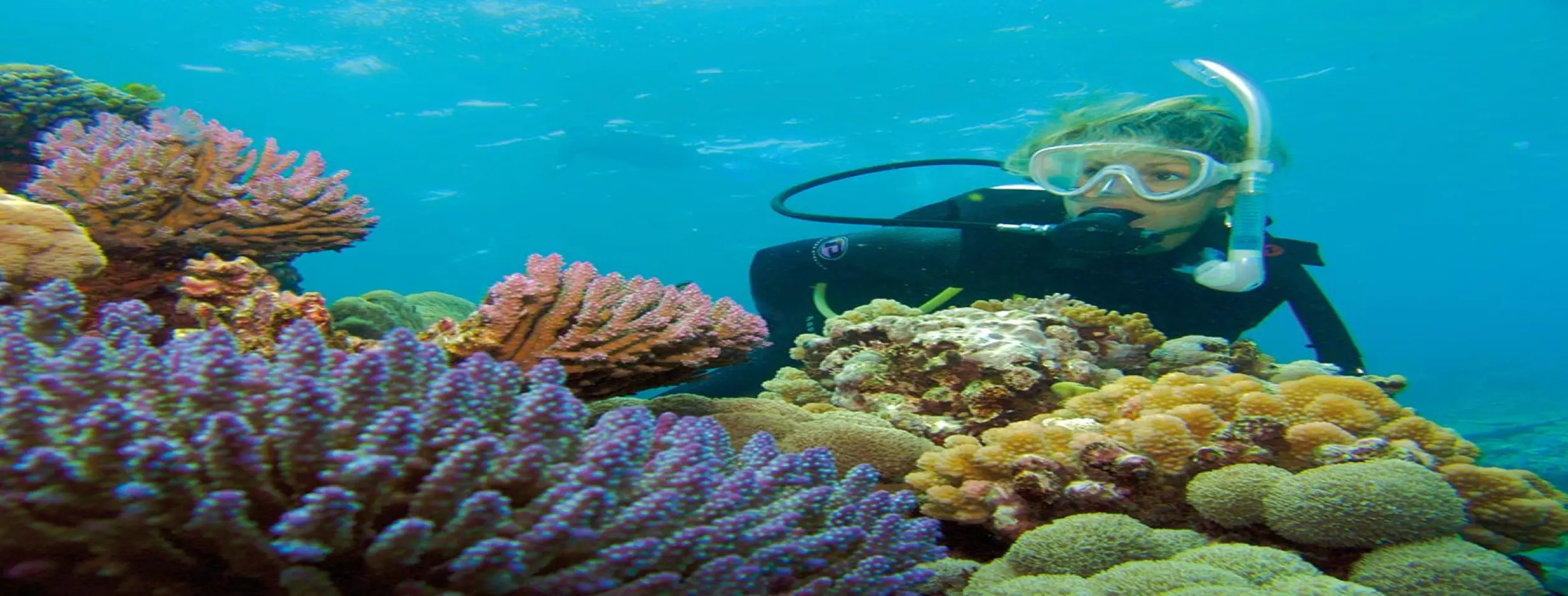 Image for Snorkel Tugboat and Reef